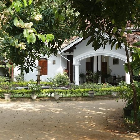 Kithulvilla Holiday Bungalow Kitulgala Buitenkant foto