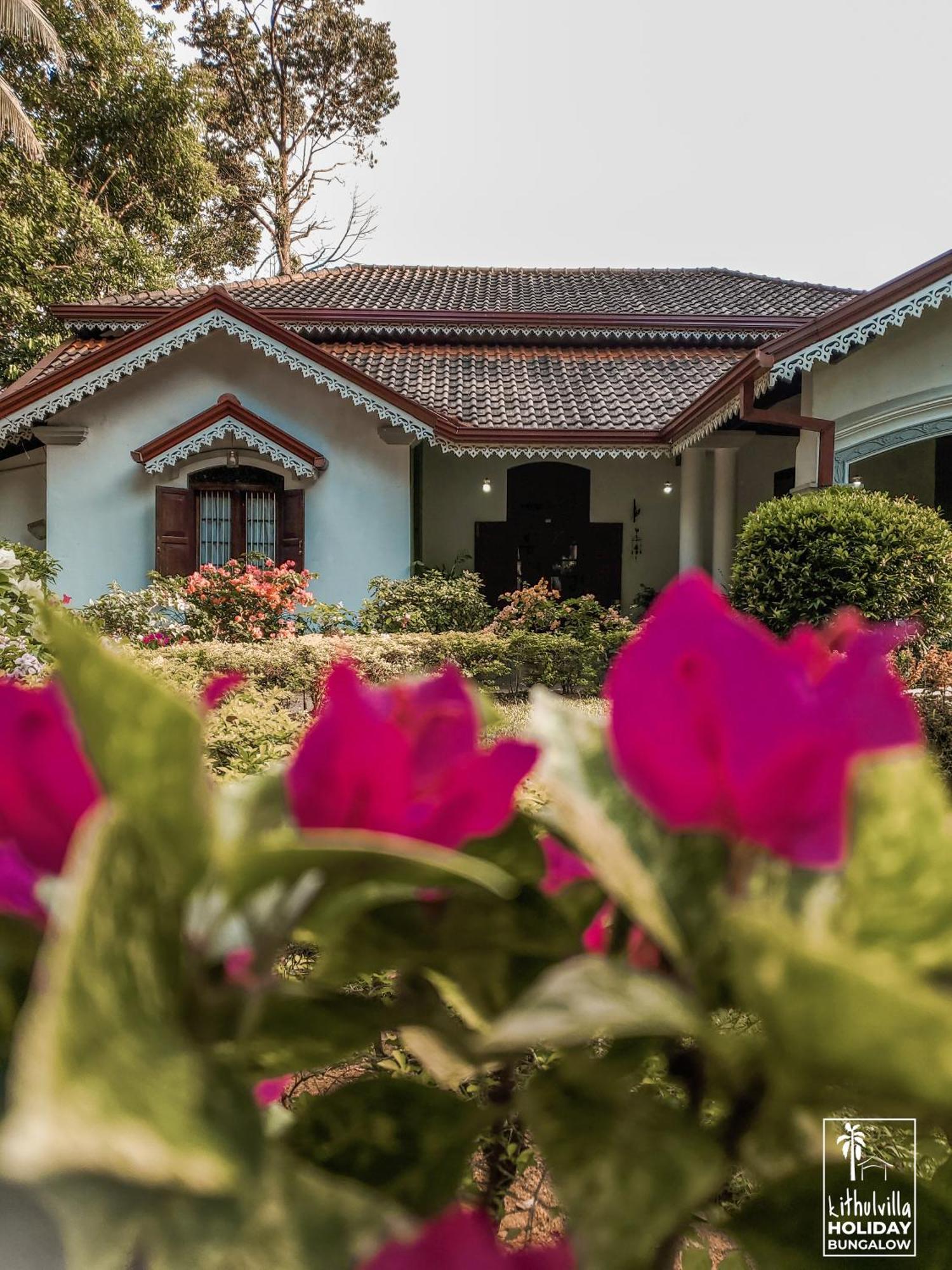 Kithulvilla Holiday Bungalow Kitulgala Buitenkant foto