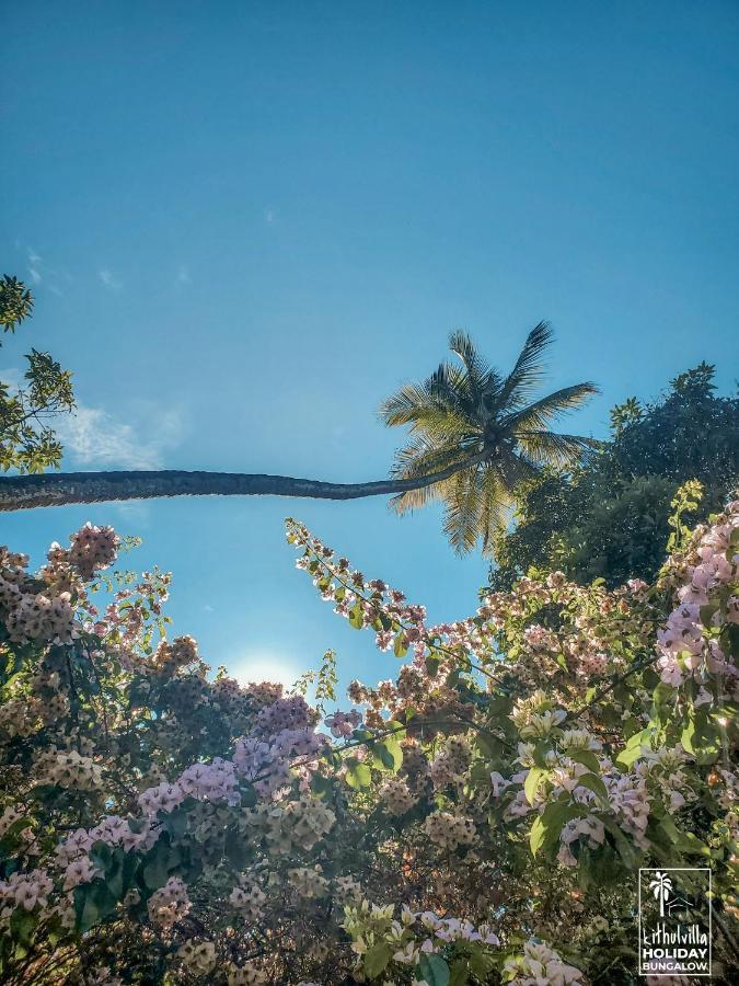 Kithulvilla Holiday Bungalow Kitulgala Buitenkant foto